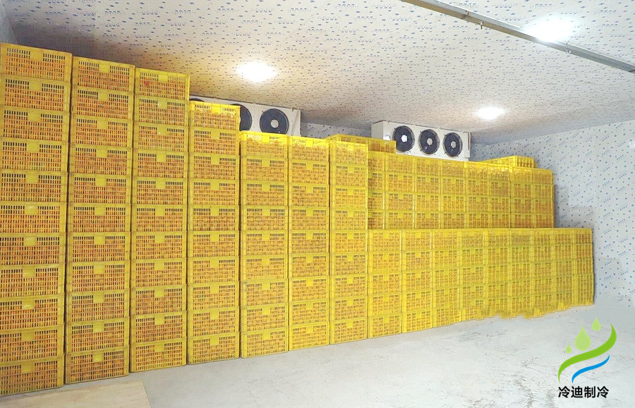 建造一個(gè)橙子冷庫(kù)需要多少錢？(圖2)